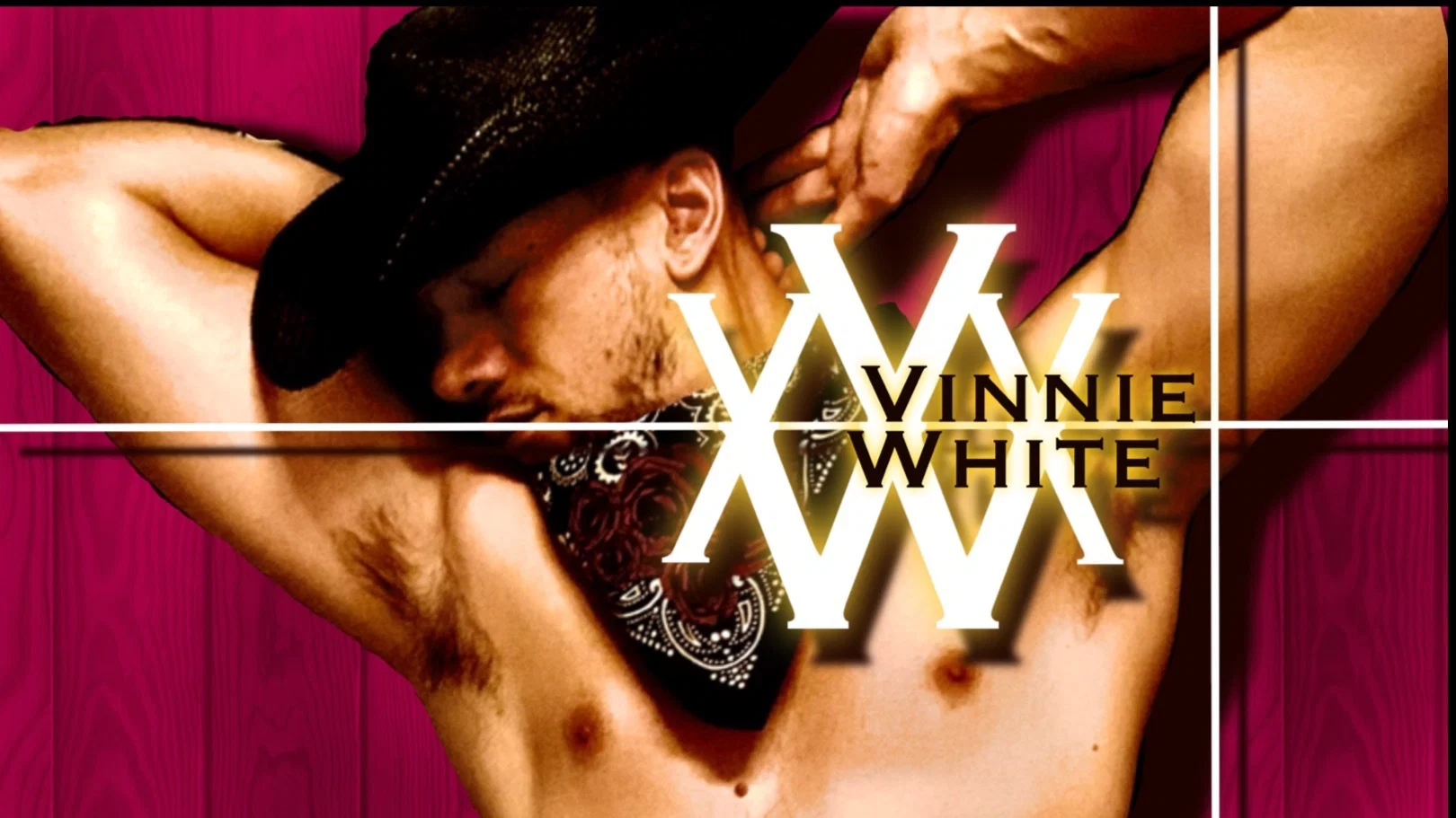 Vinnie profile banner