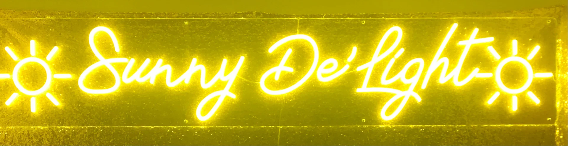 ☀️Sunny De’Light☀️ profile banner
