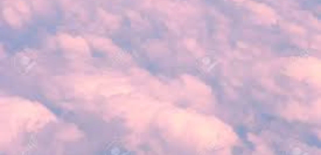 Ivy profile banner