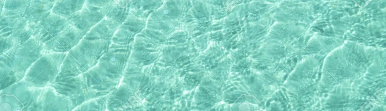 EJ Bikini Babes profile banner