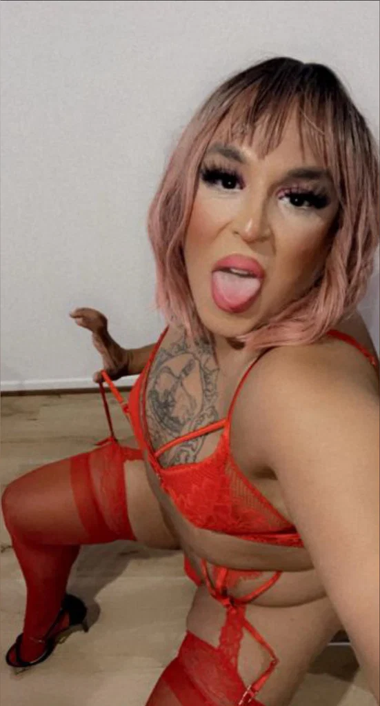 Mehdi Travesti's avatar