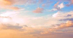 Queenoffeet profile banner