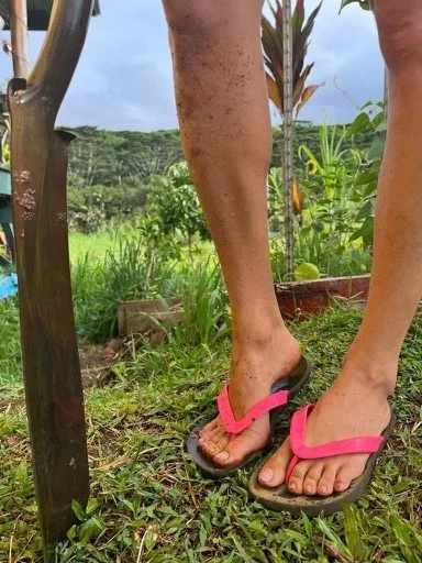 Filthy Farm Feet's avatar
