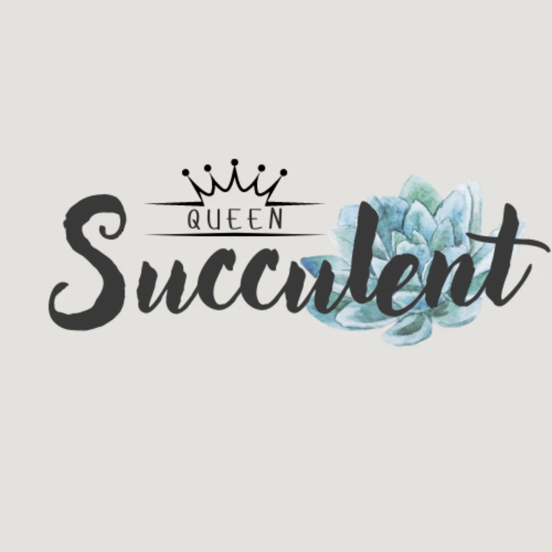 Succulent Queen π profile banner