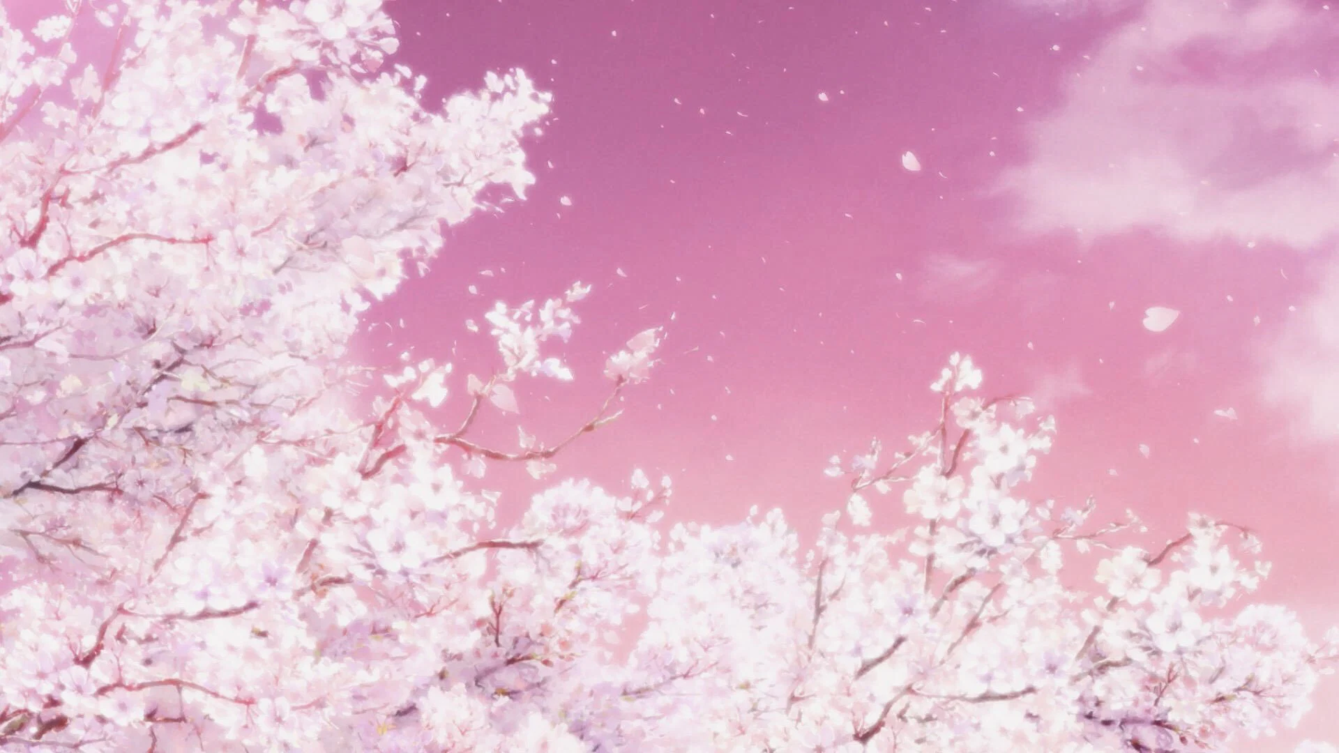 annie profile banner