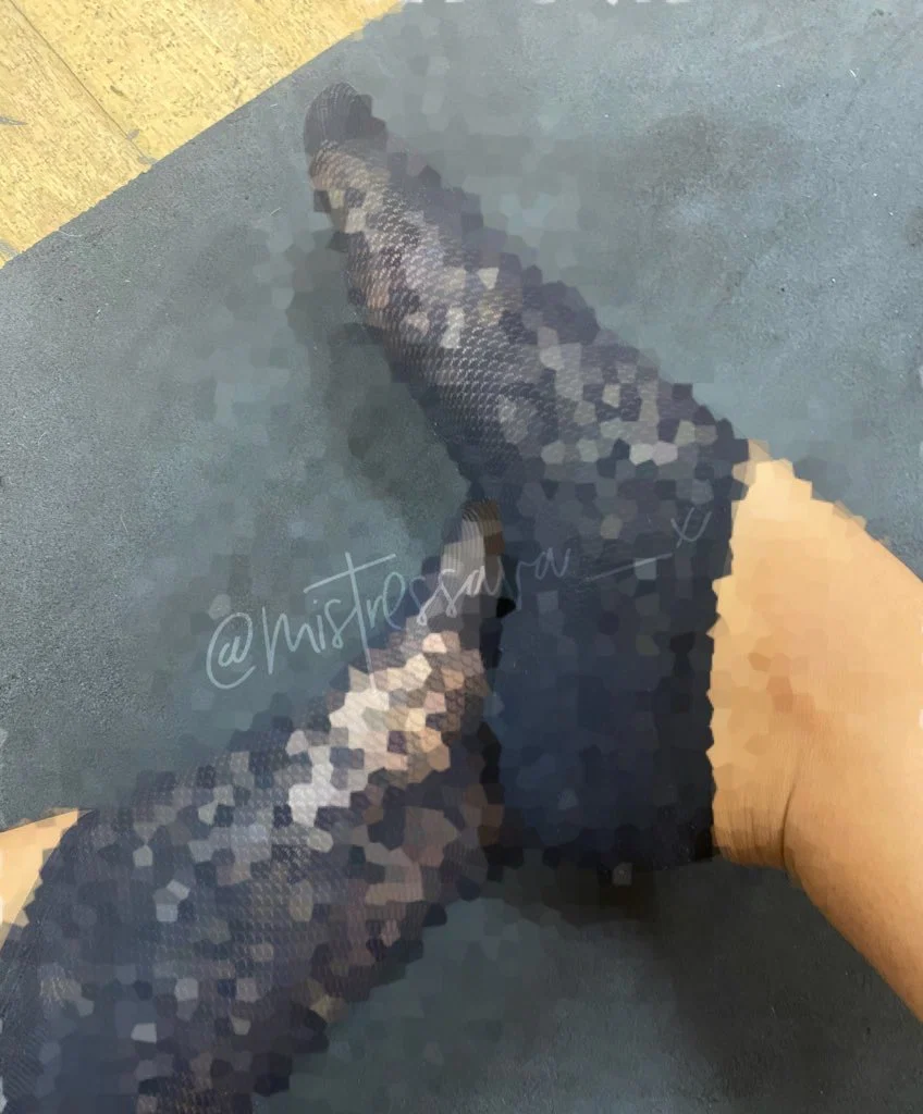mistressava_x profile banner