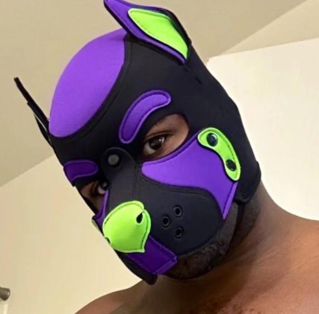Pup Vortex, The Microwavable Thotpocket's avatar