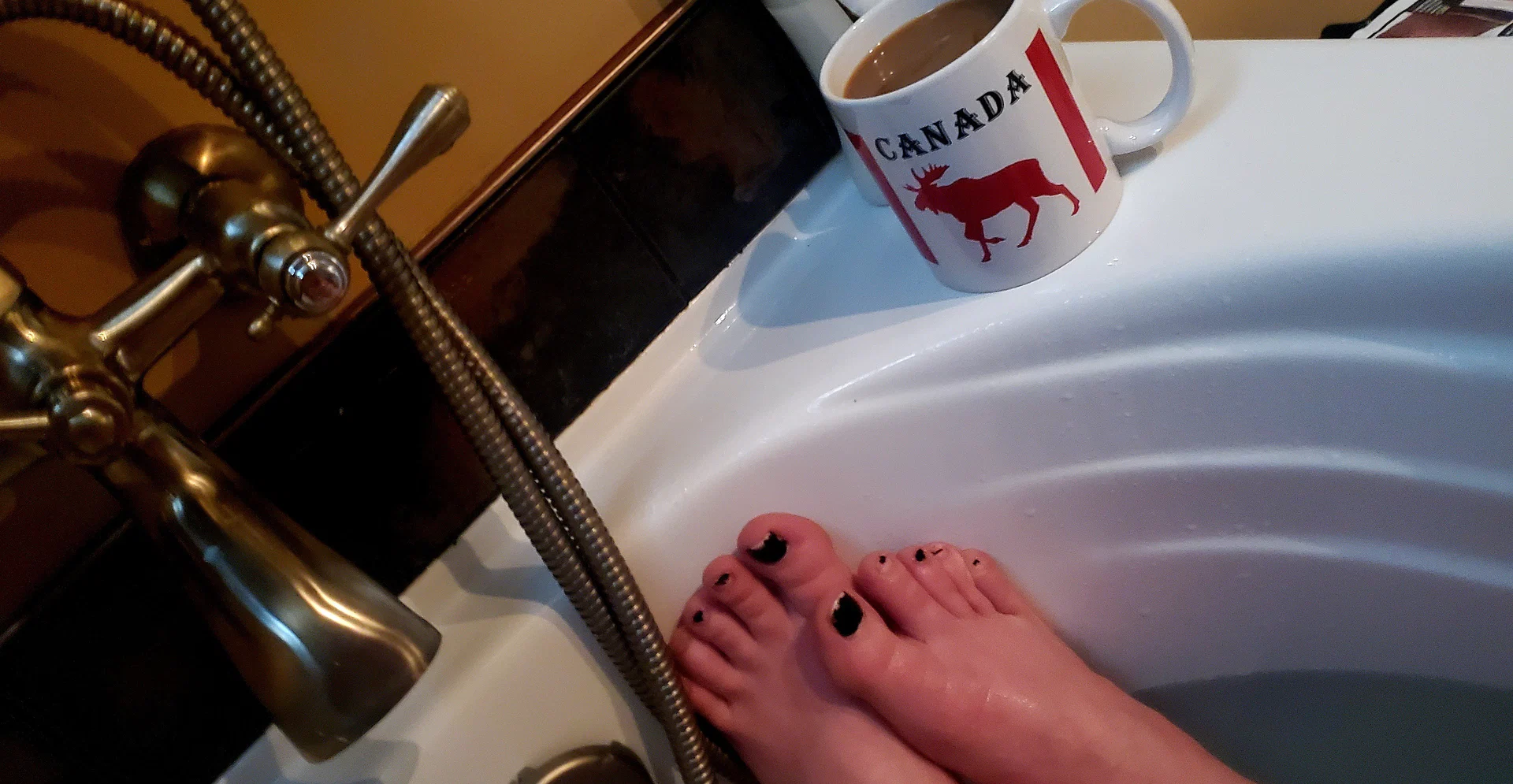 Maple🍁Toes profile banner