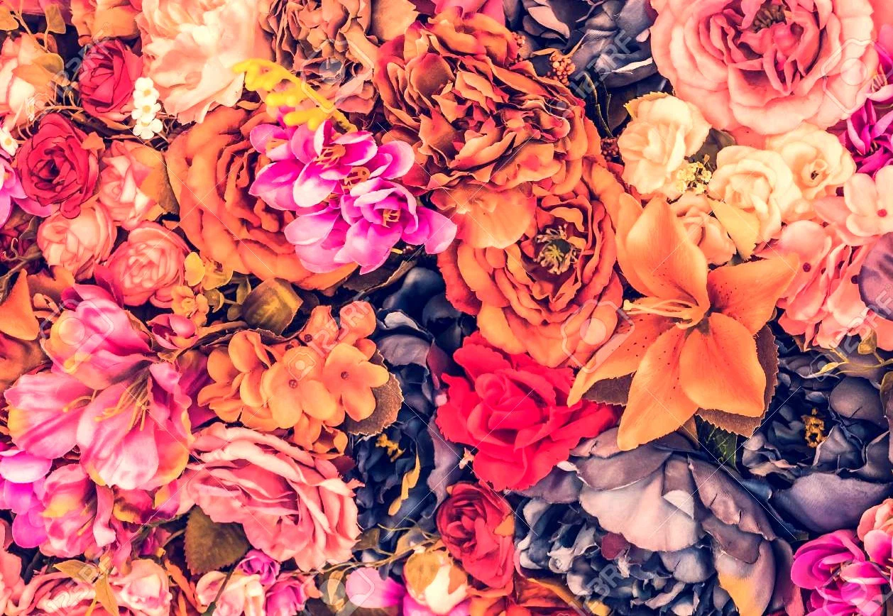 Rose profile banner