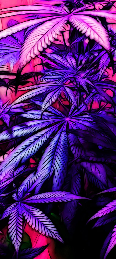 GypsyLady profile banner