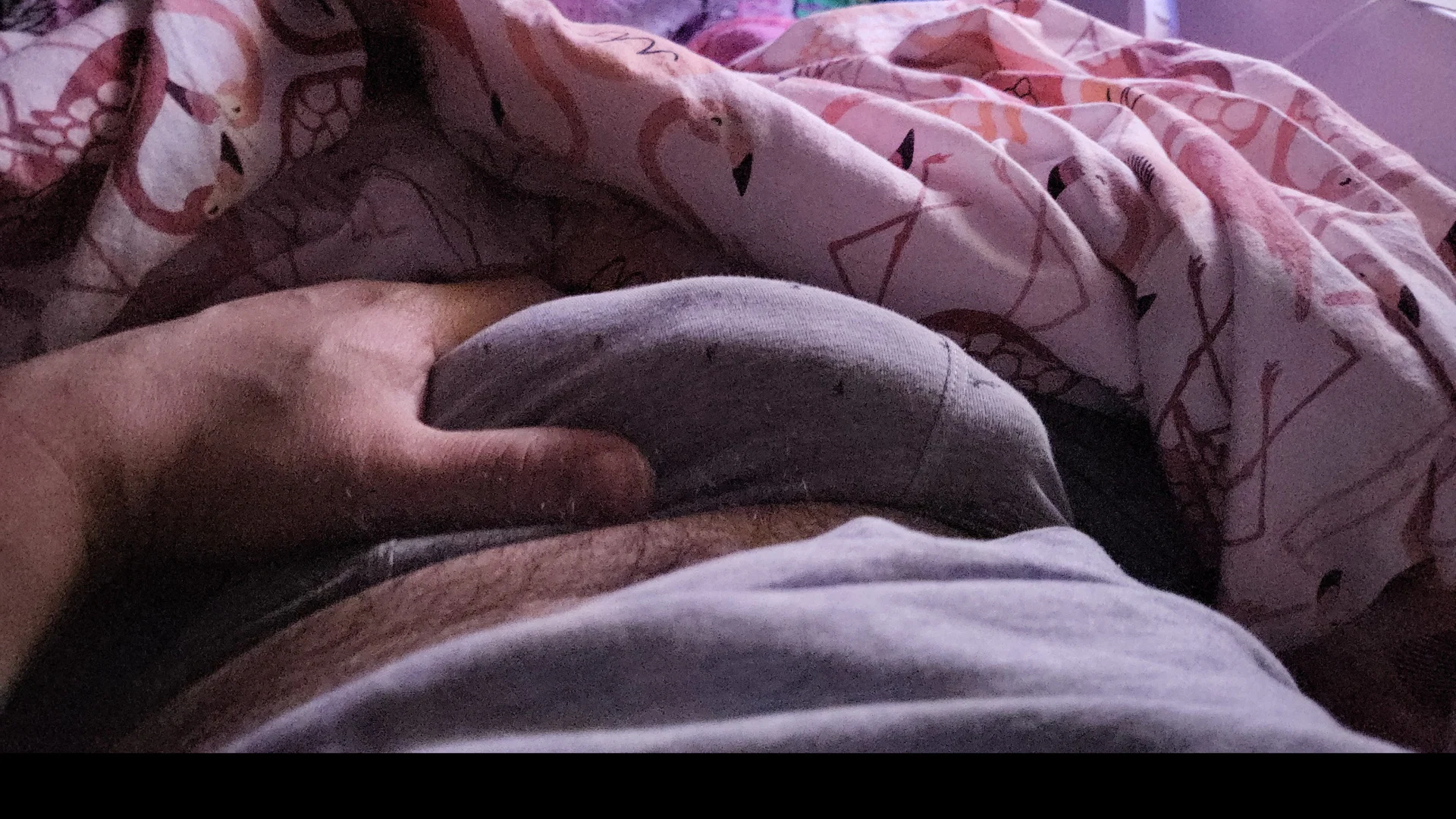 Cuckold Hotlella profile banner