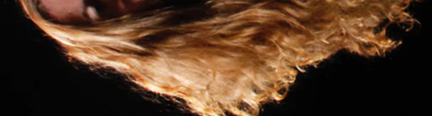 Hairy Fae profile banner