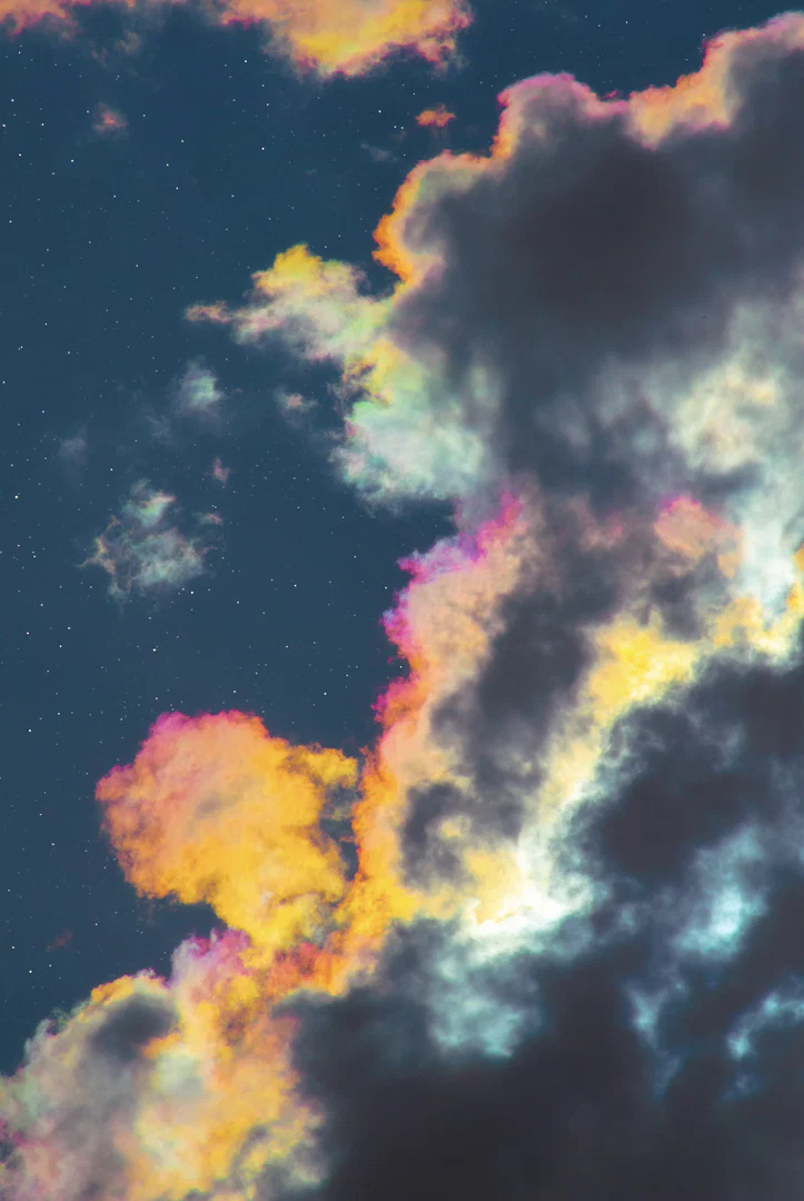 troi🌿 profile banner