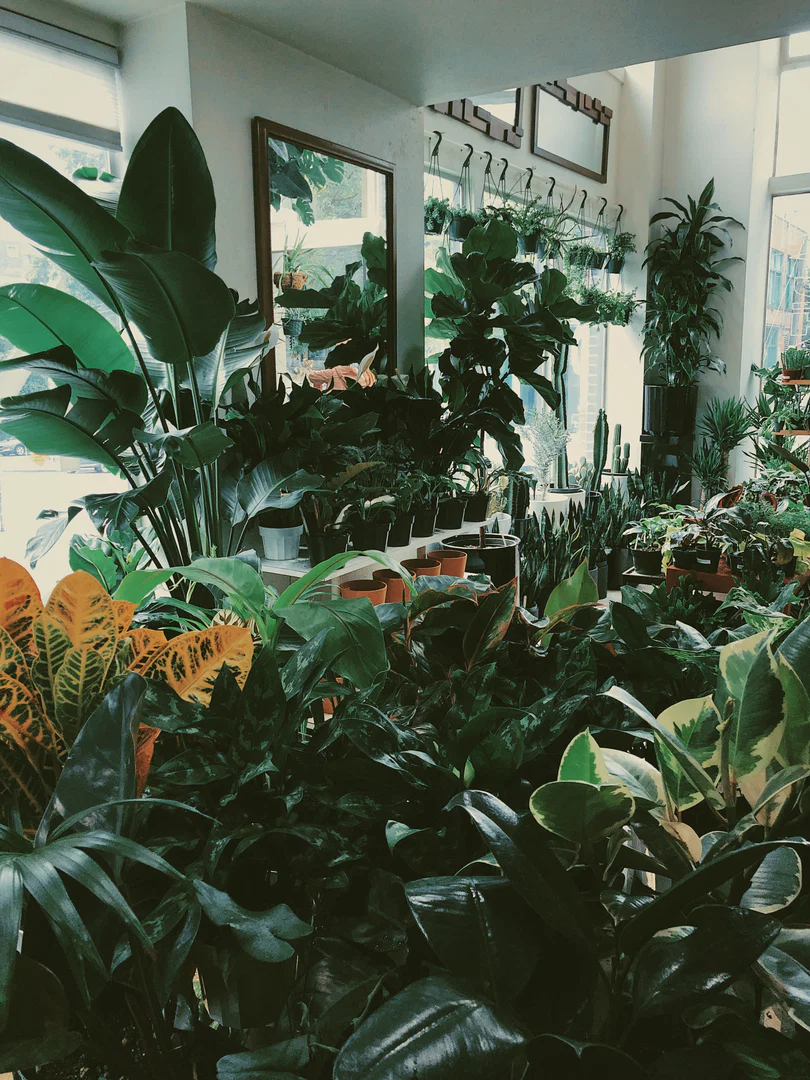 Julep profile banner