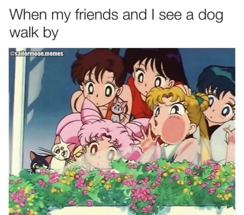 ThiccStonerGf profile banner