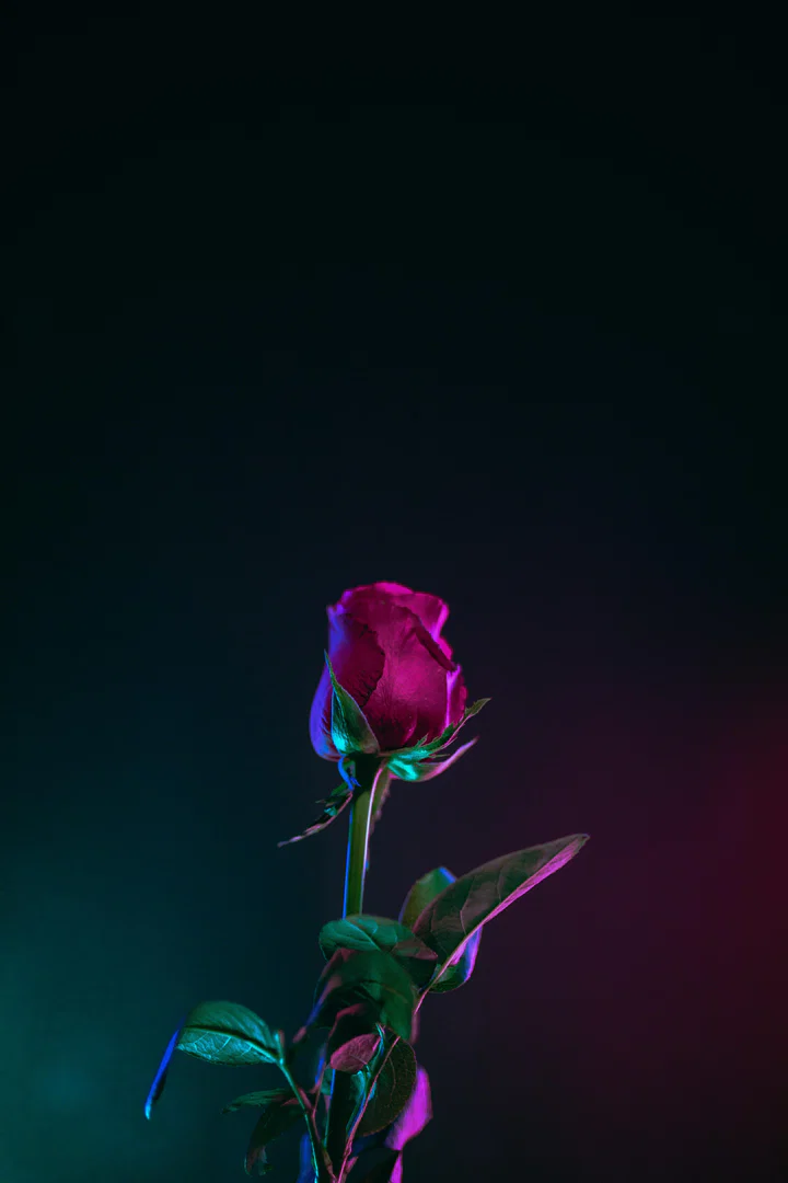 Kinky Boots profile banner