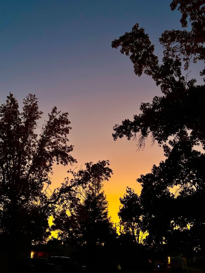 Emma Stoner ☀️ profile banner