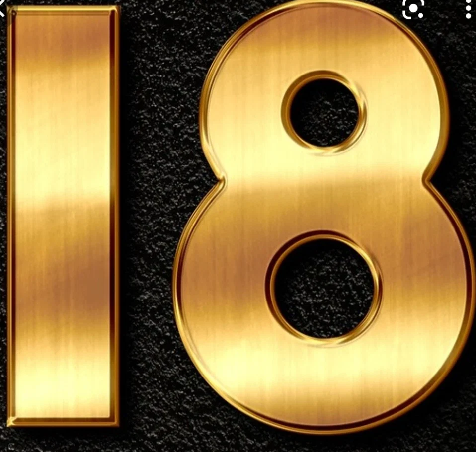 adina marinescu profile banner