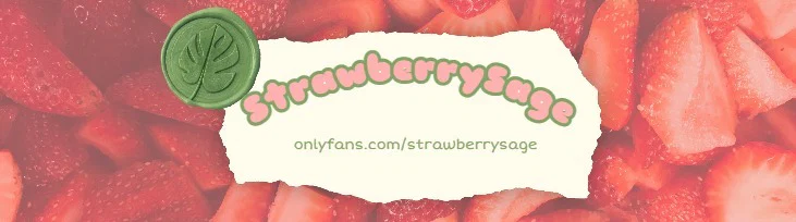 Sage π profile banner