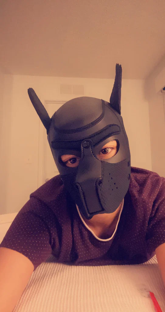 SubbPup's avatar