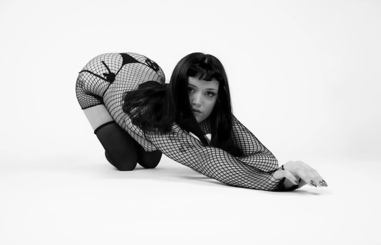 bbdahlia profile banner