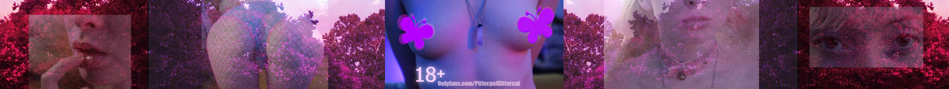 Pitterpat Kittercat profile banner