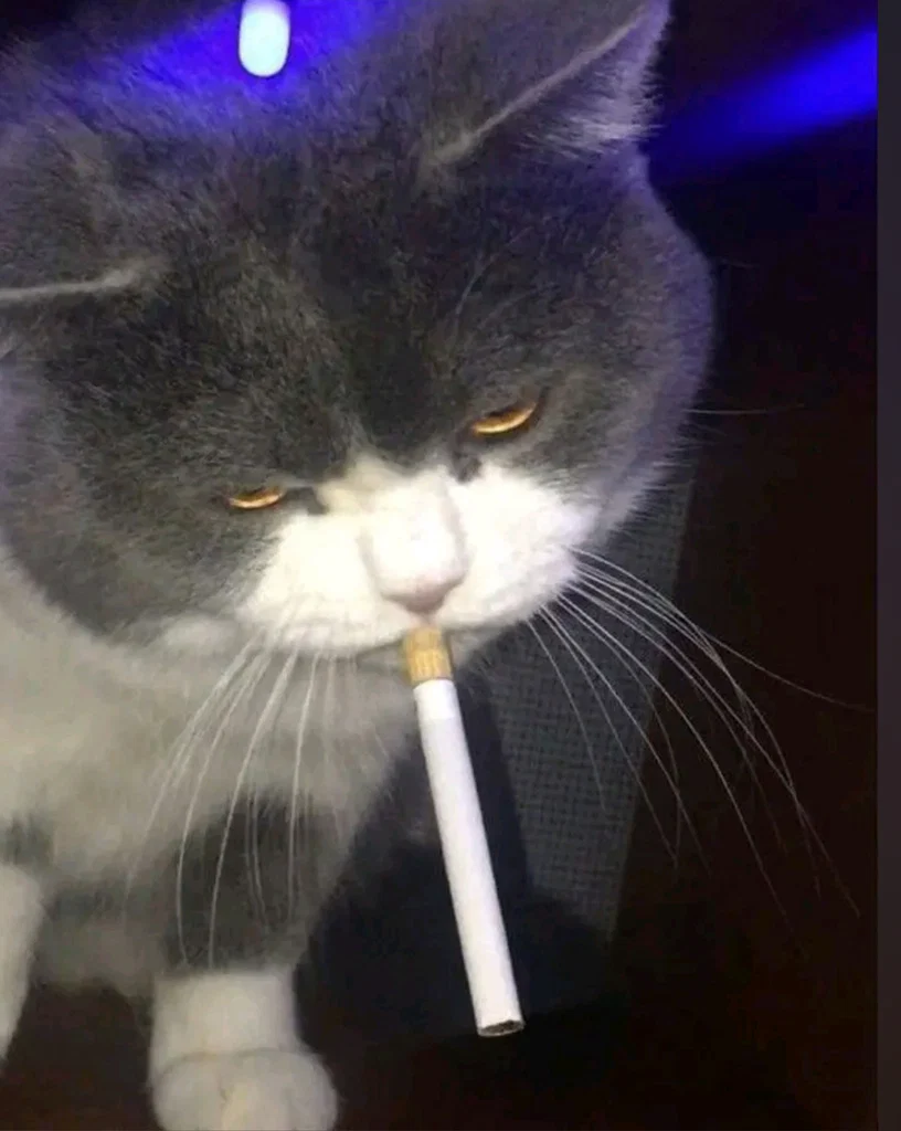 Miirzaaa's avatar