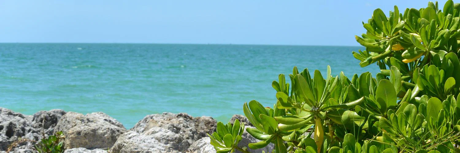 Roberto profile banner