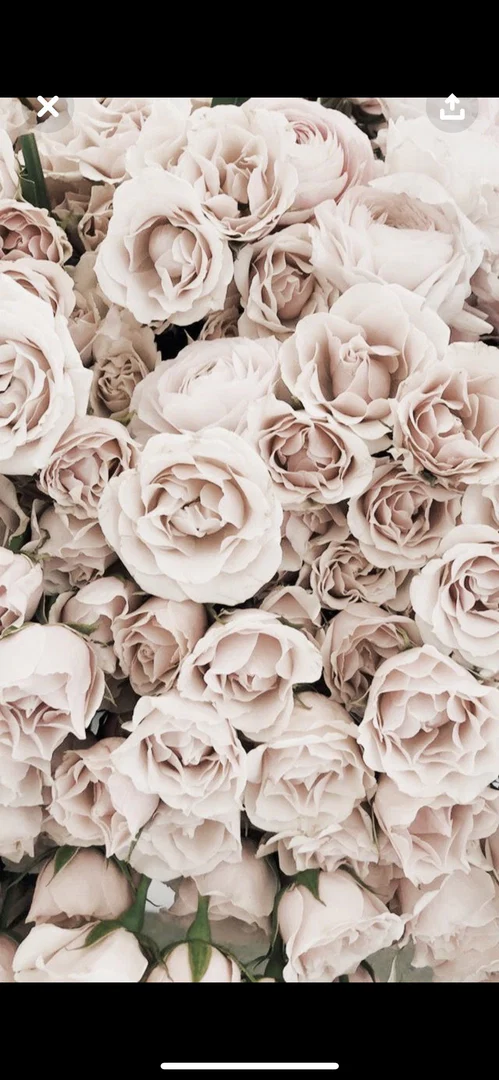 K W profile banner