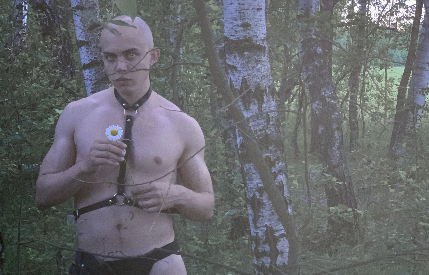 Aleksandr profile banner