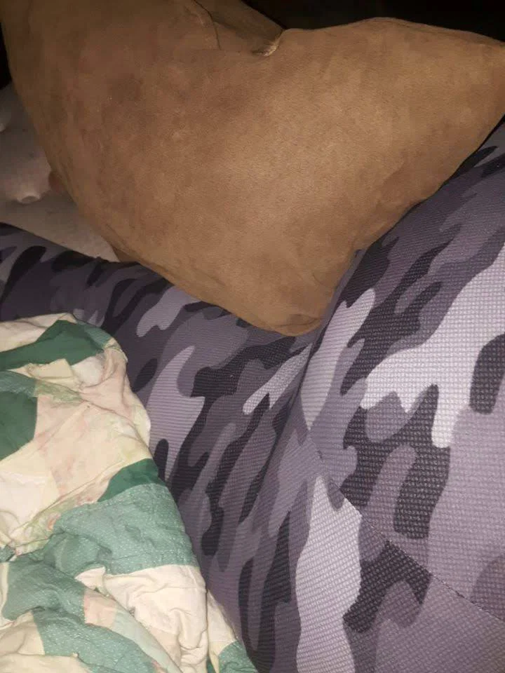 Becca, Hoes in a House profile banner