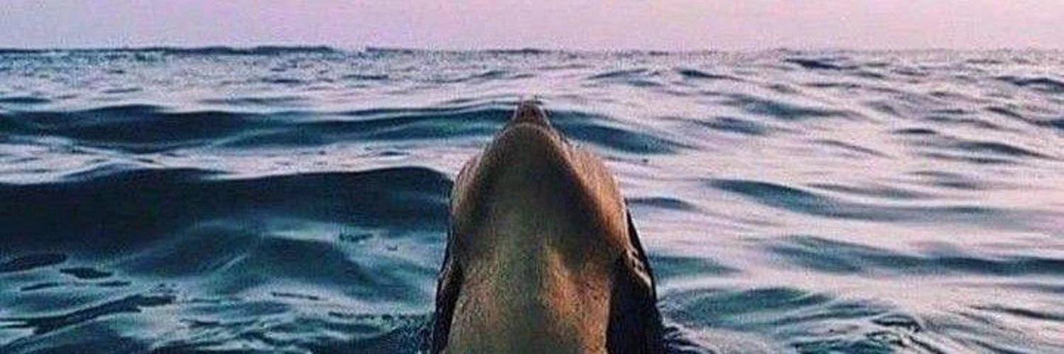 Oly Erotik profile banner