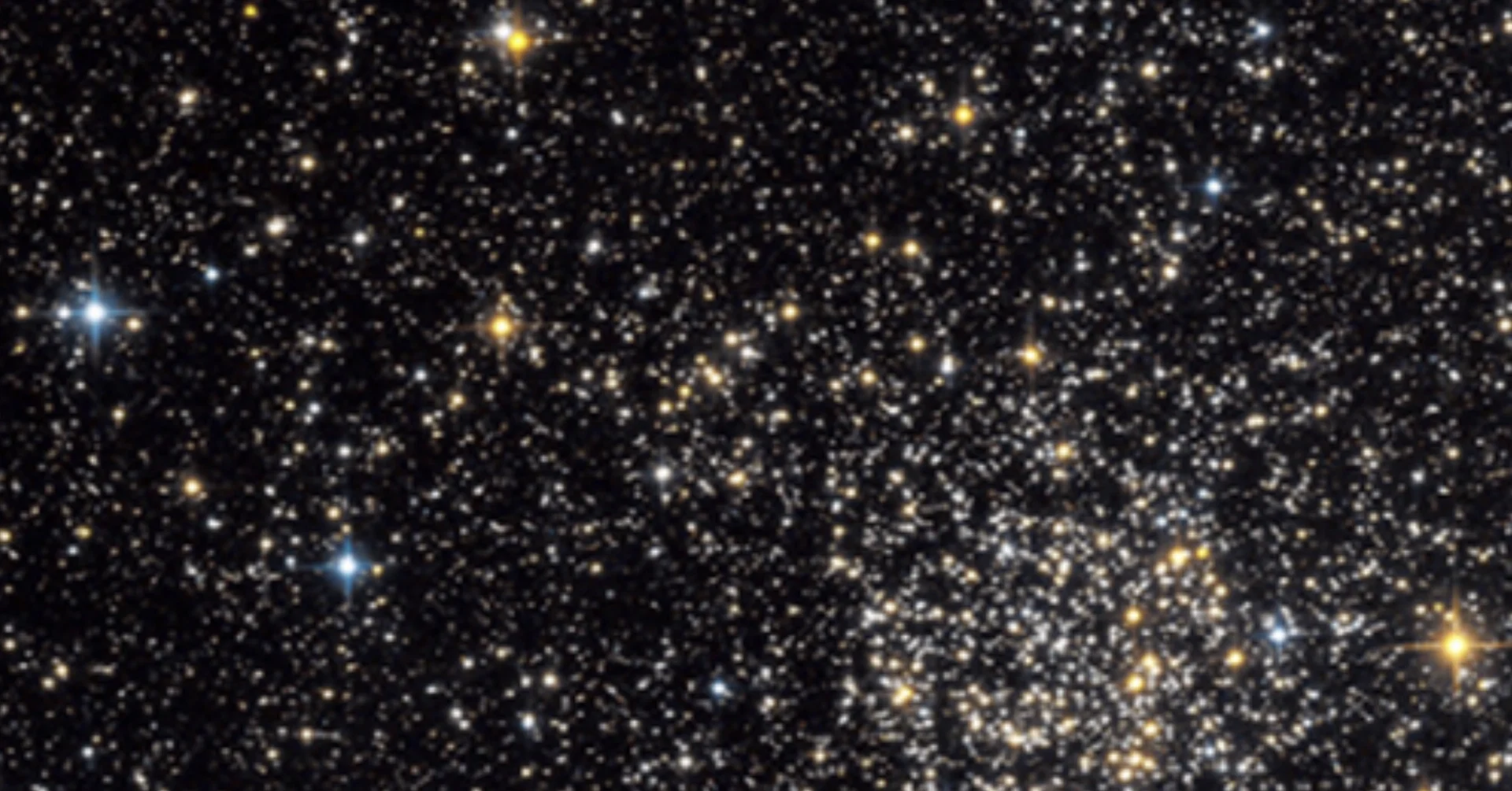 Baddgvrl profile banner