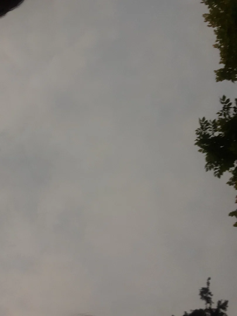 Dizzy profile banner