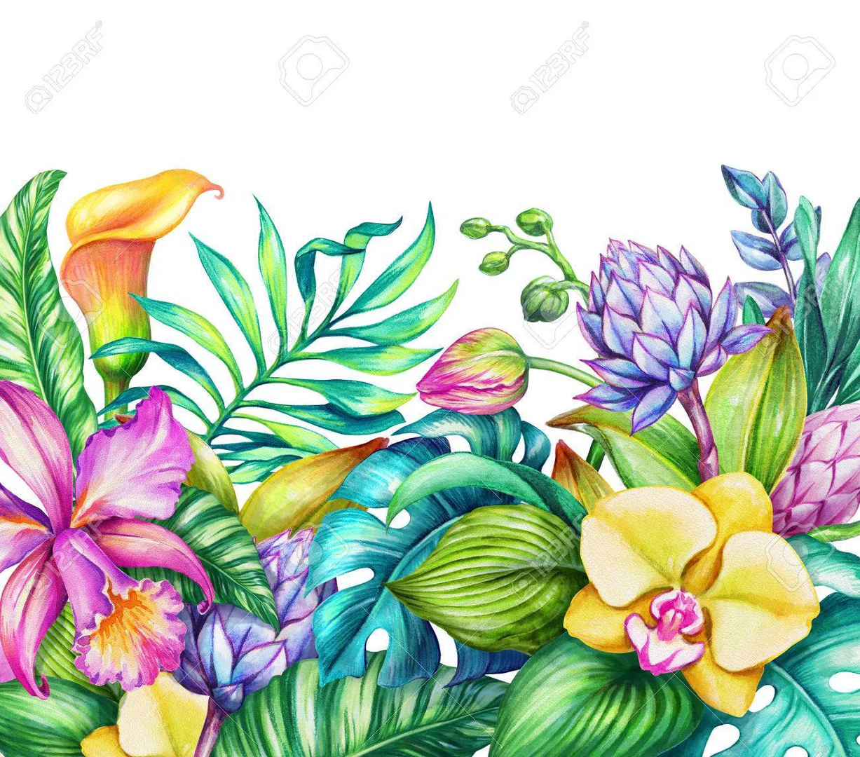 Morgan Paradise profile banner
