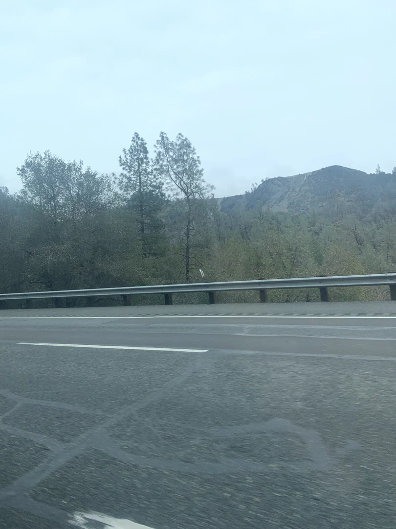 Mexican Pimp profile banner