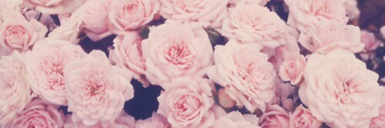 C H L O Γ ππΈπ¦ profile banner