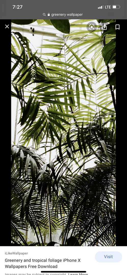 PerkyNicole profile banner