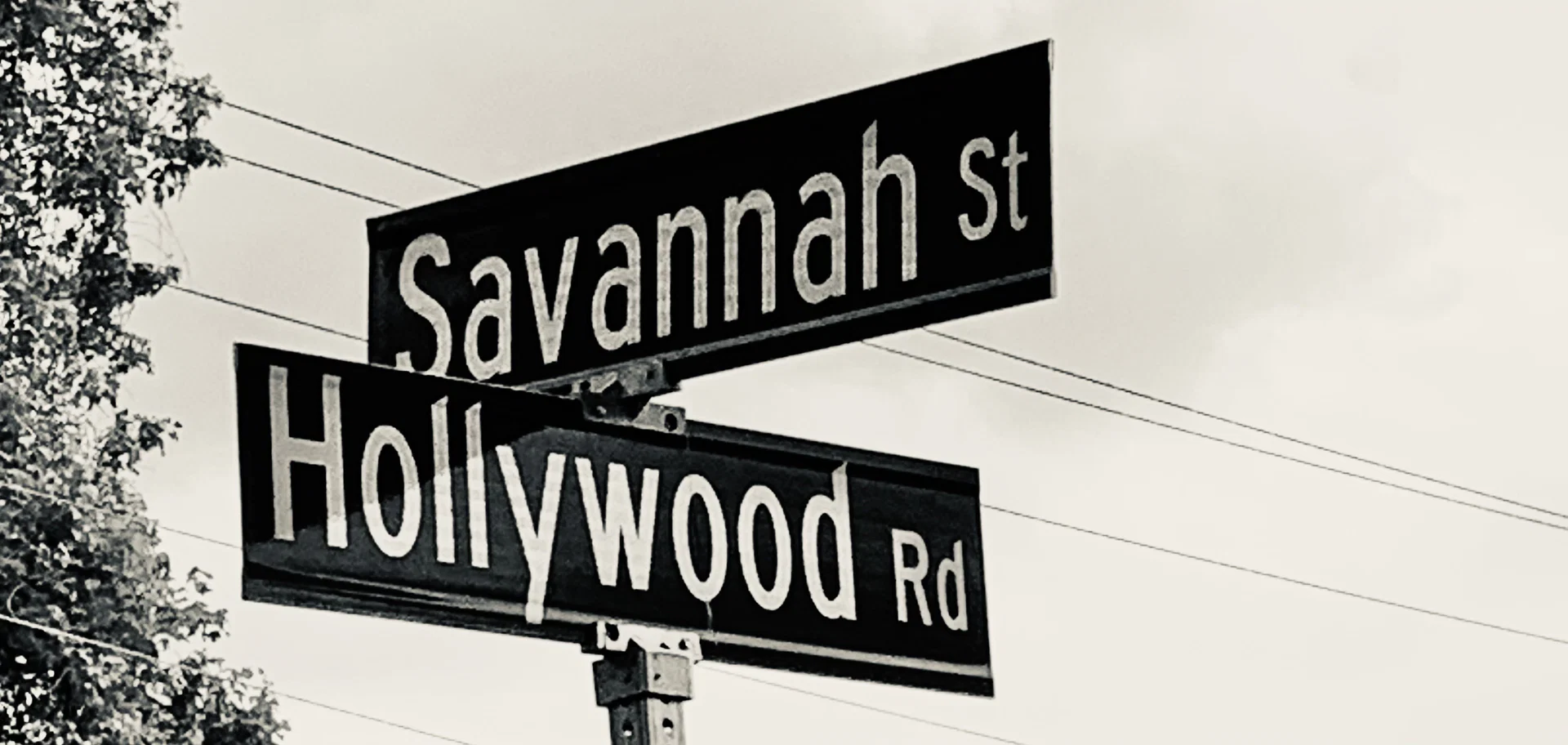 Savannah Hollywood profile banner