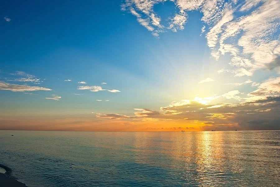Iris CS profile banner
