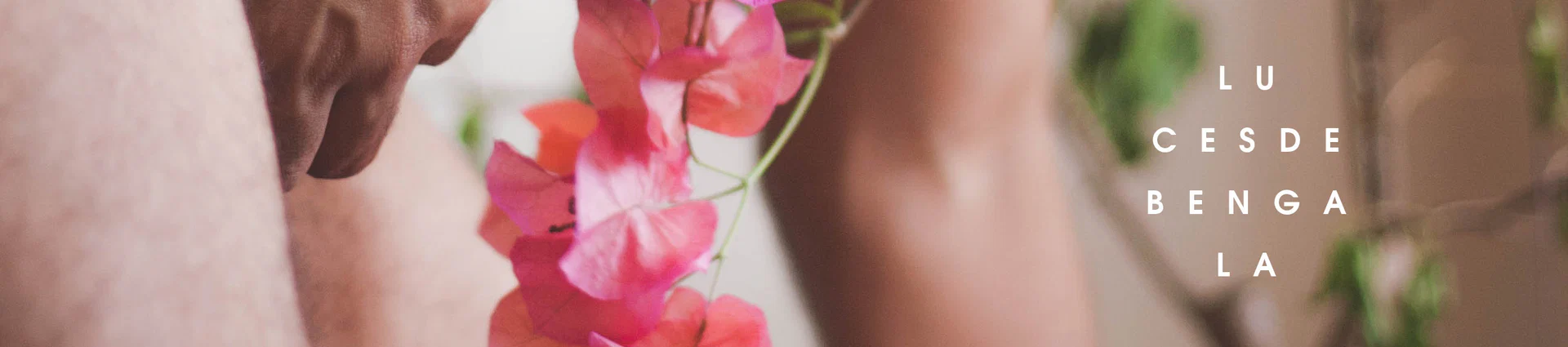 lucesdebengala profile banner