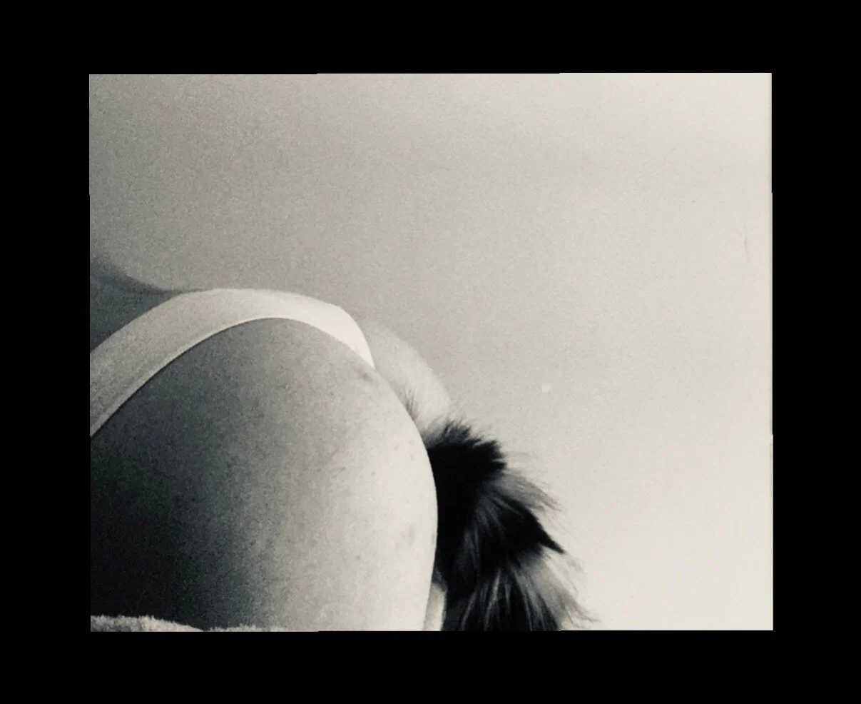 Diana profile banner