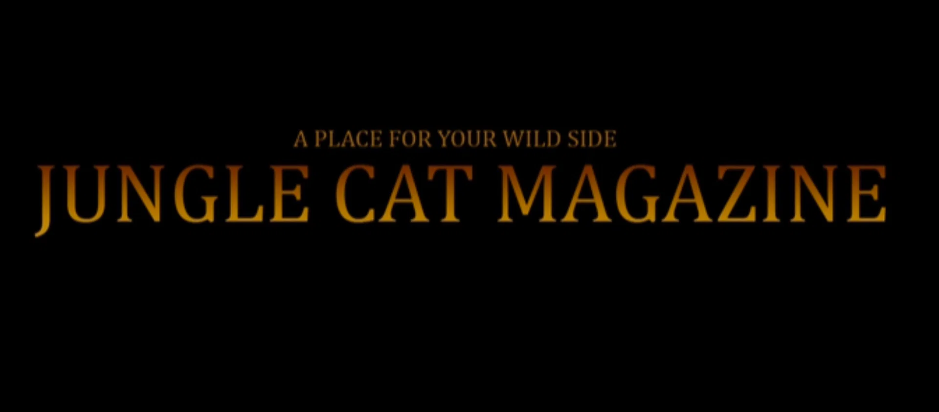 JUNGLE CAT MAGAZINE profile banner