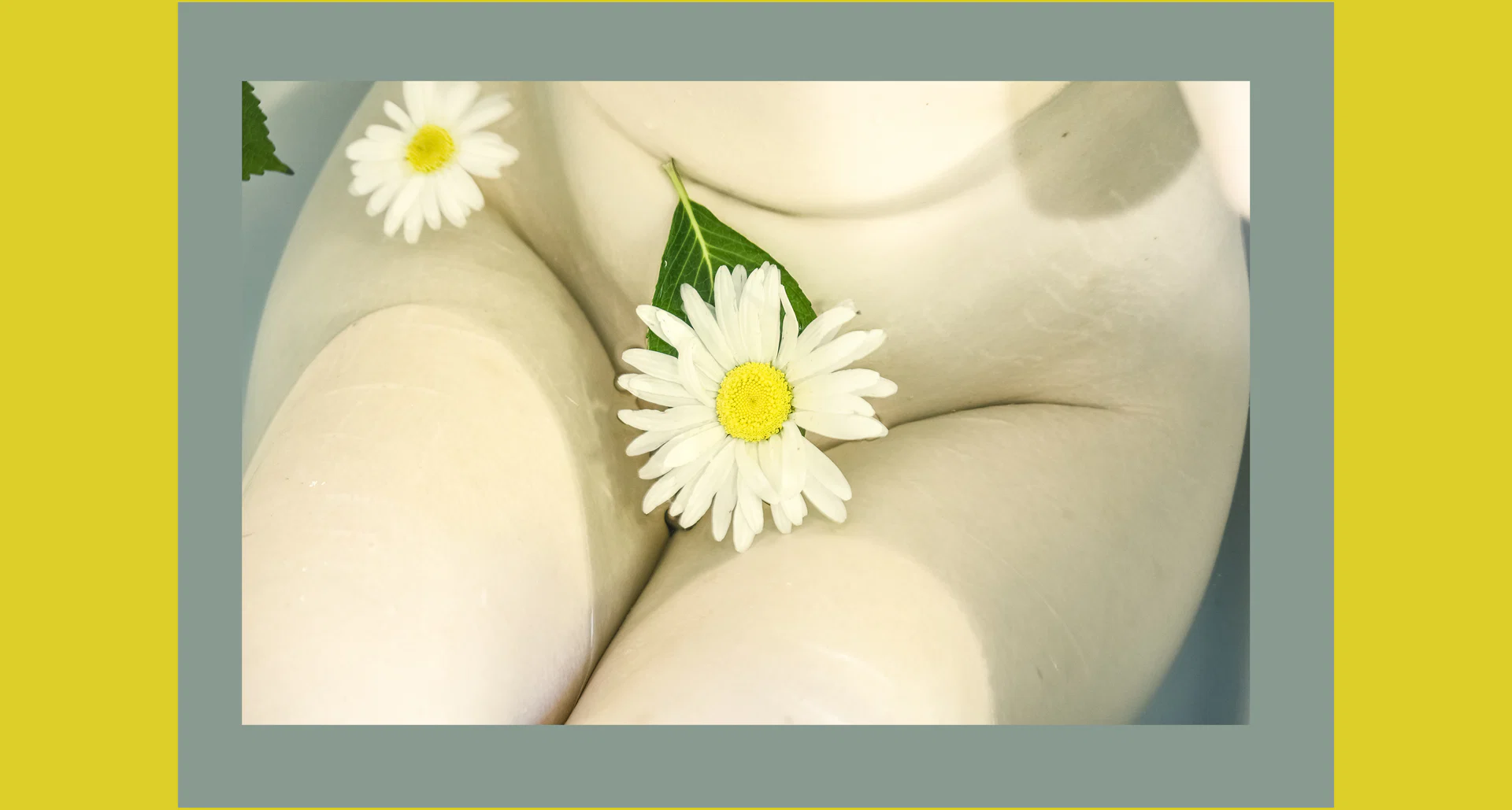Honey Mary, full of grace profile banner