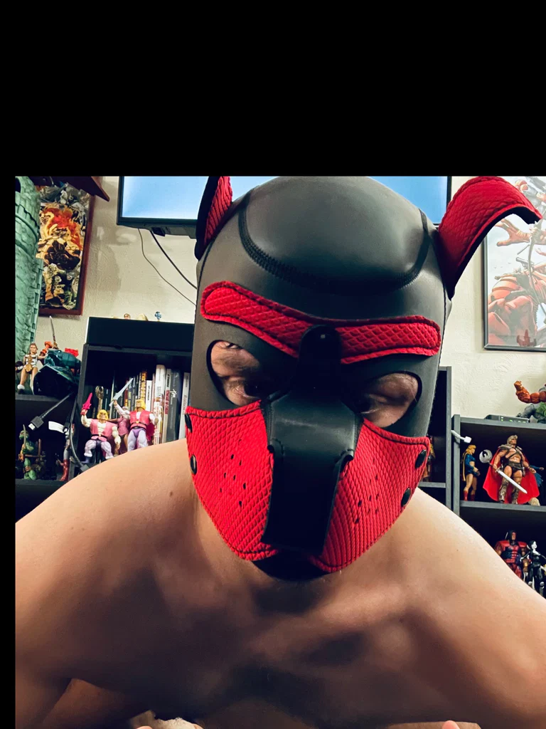 GaymerGuy's avatar