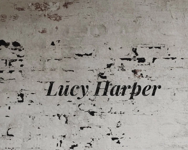 Lucy Harper profile banner