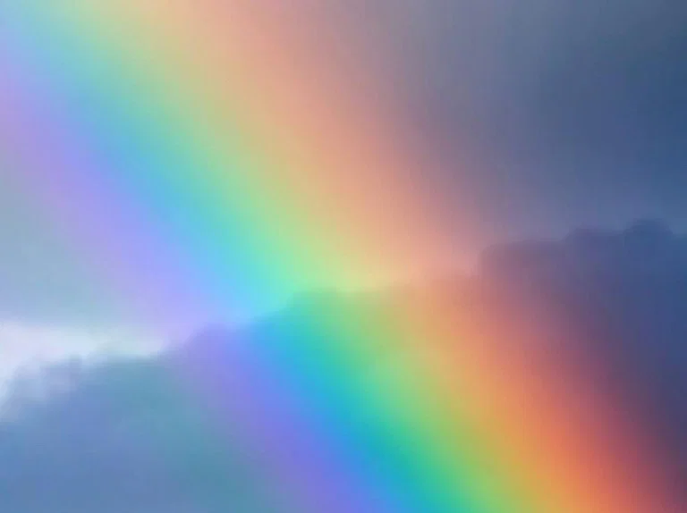 Rainbowtatts profile banner