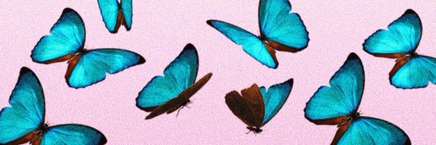 Simone-Inés profile banner