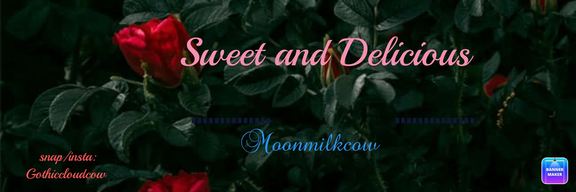 Luna Bright profile banner