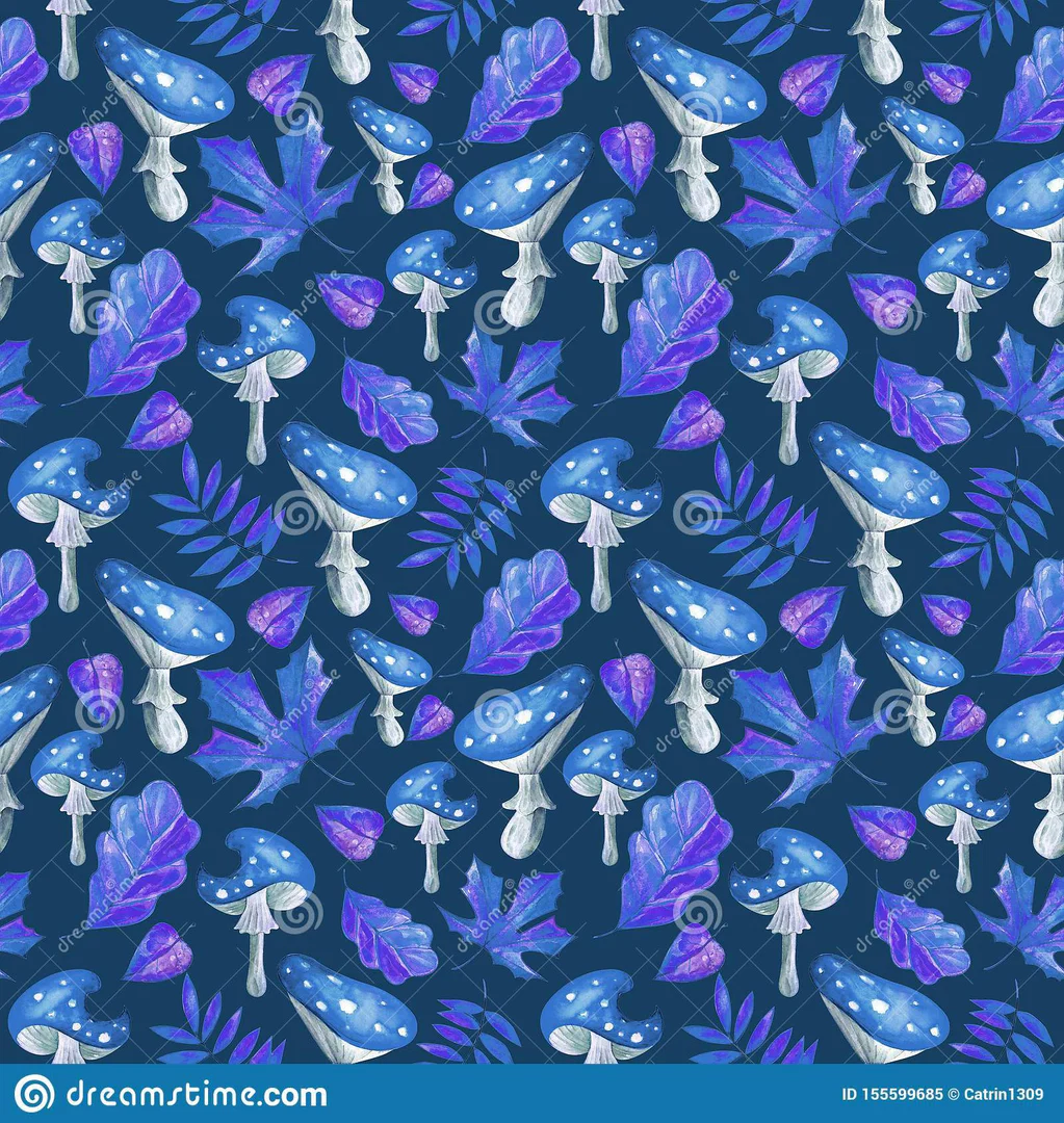 Blue Fairy profile banner